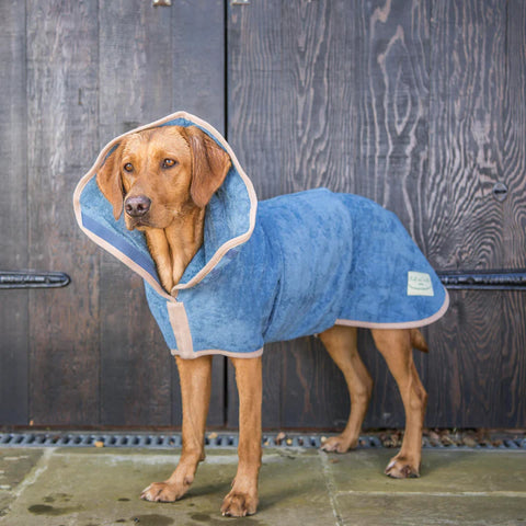 Cute dog wearing ruff and tumble coat