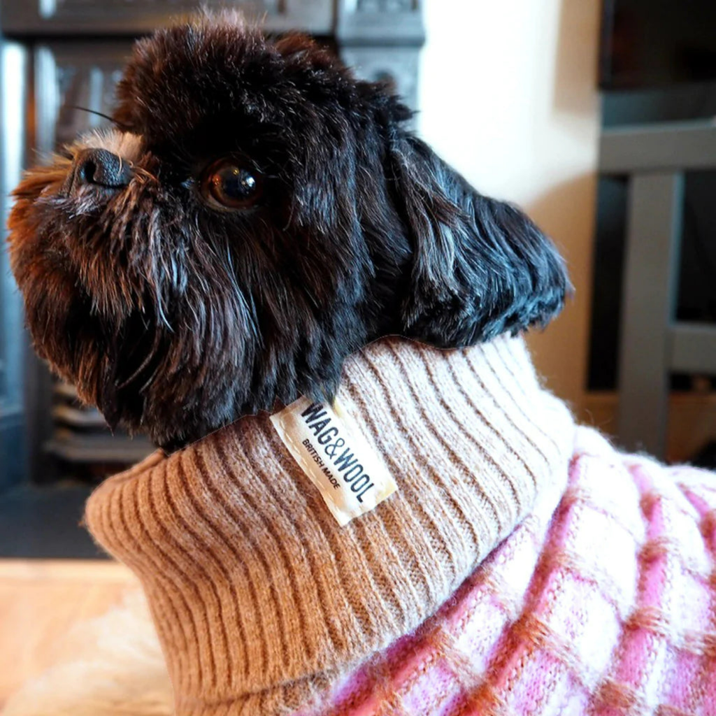 Knitted Puppy Jumpers  Sustainable & British Made – WAG&WOOL™