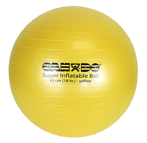 inflatable medicine ball