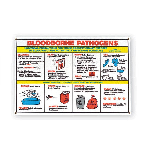 printable-bloodborne-pathogens-poster-printable-word-searches