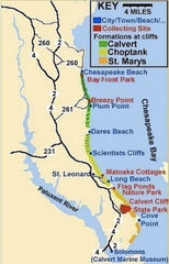 Calvert cliffs fossil map