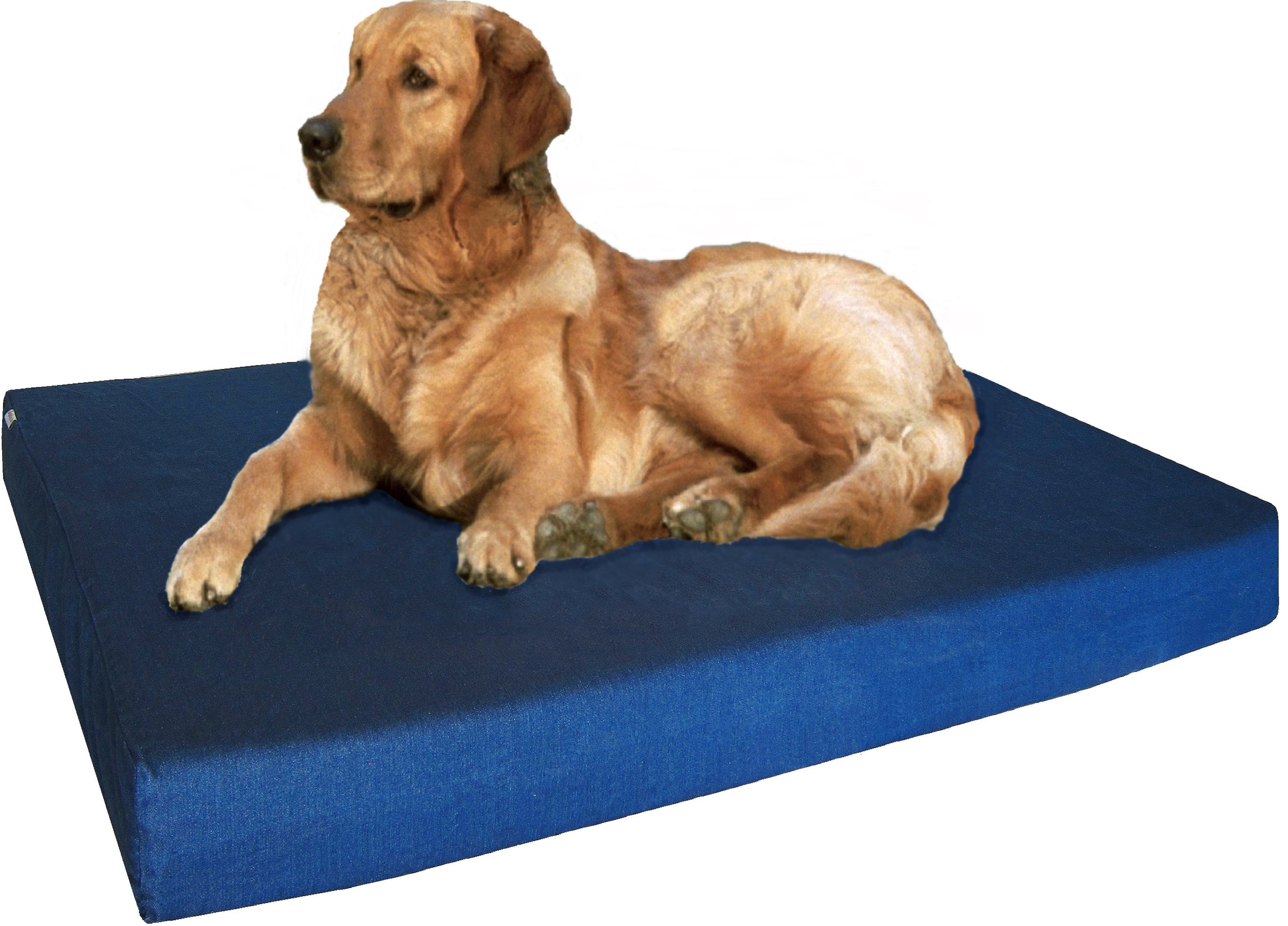 Memory Foam Dog Bed + Durable Denim Waterproof Orthopedic Medium to