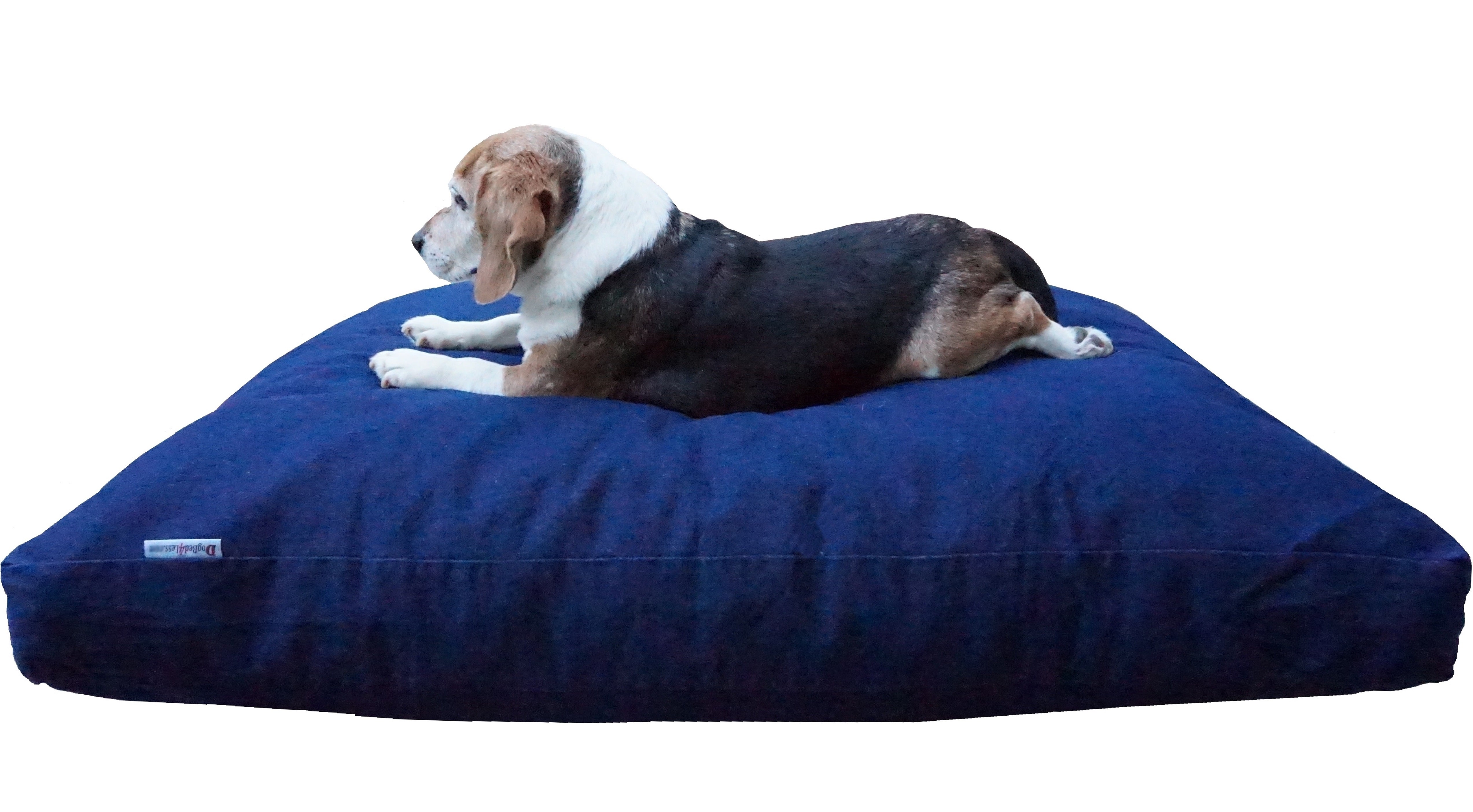 small memory foam dog bed