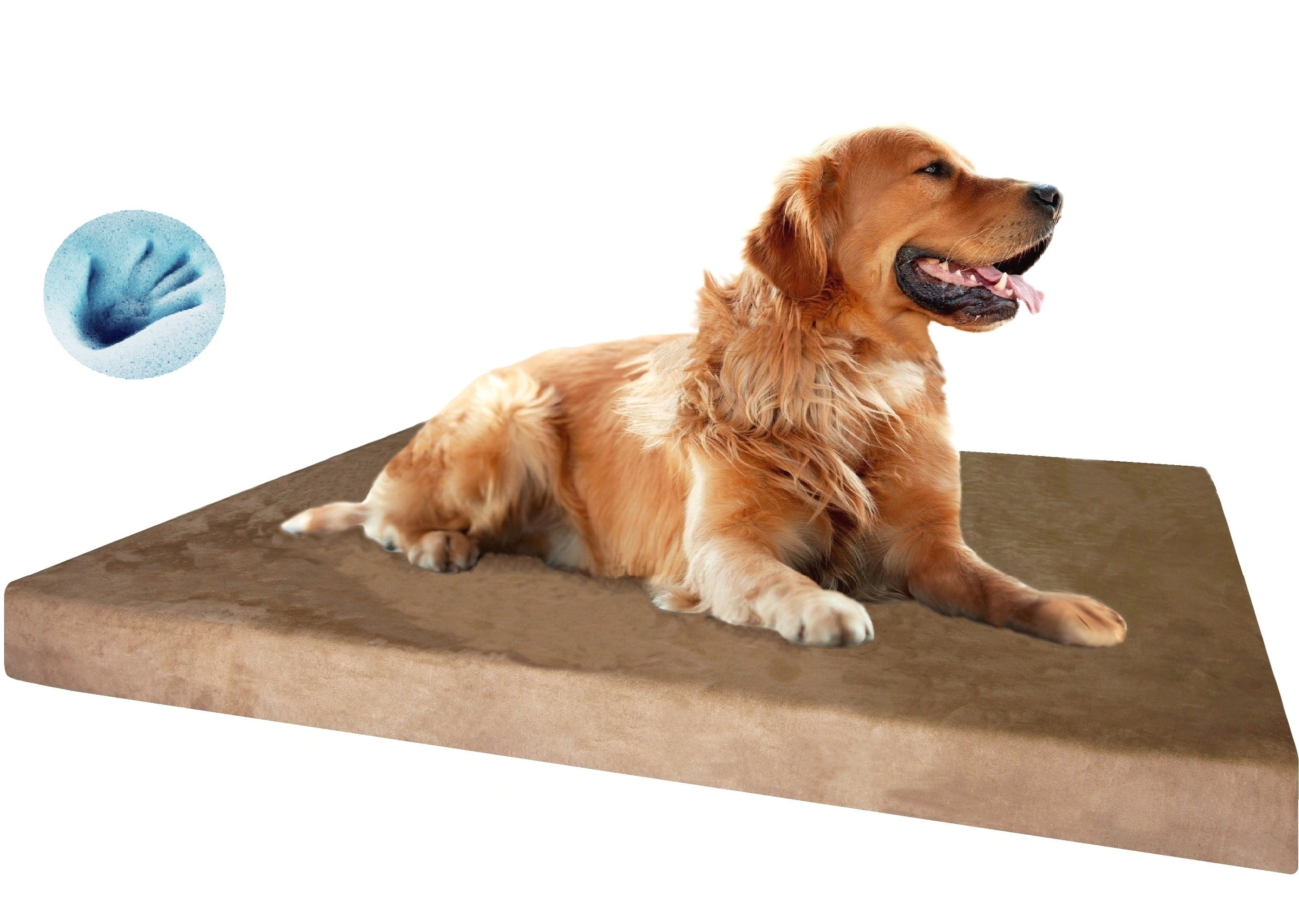 XL memory foam dog bed