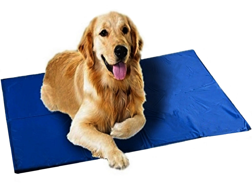 How Do Pet Gel Cooling Mats Work PetsWall