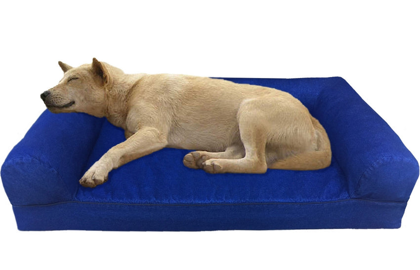 best orthopedic sofa bed