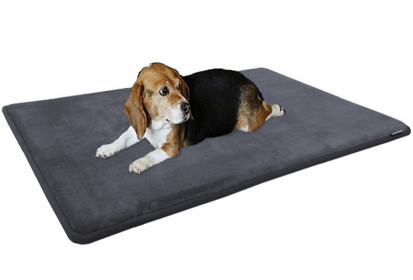 large pet mat