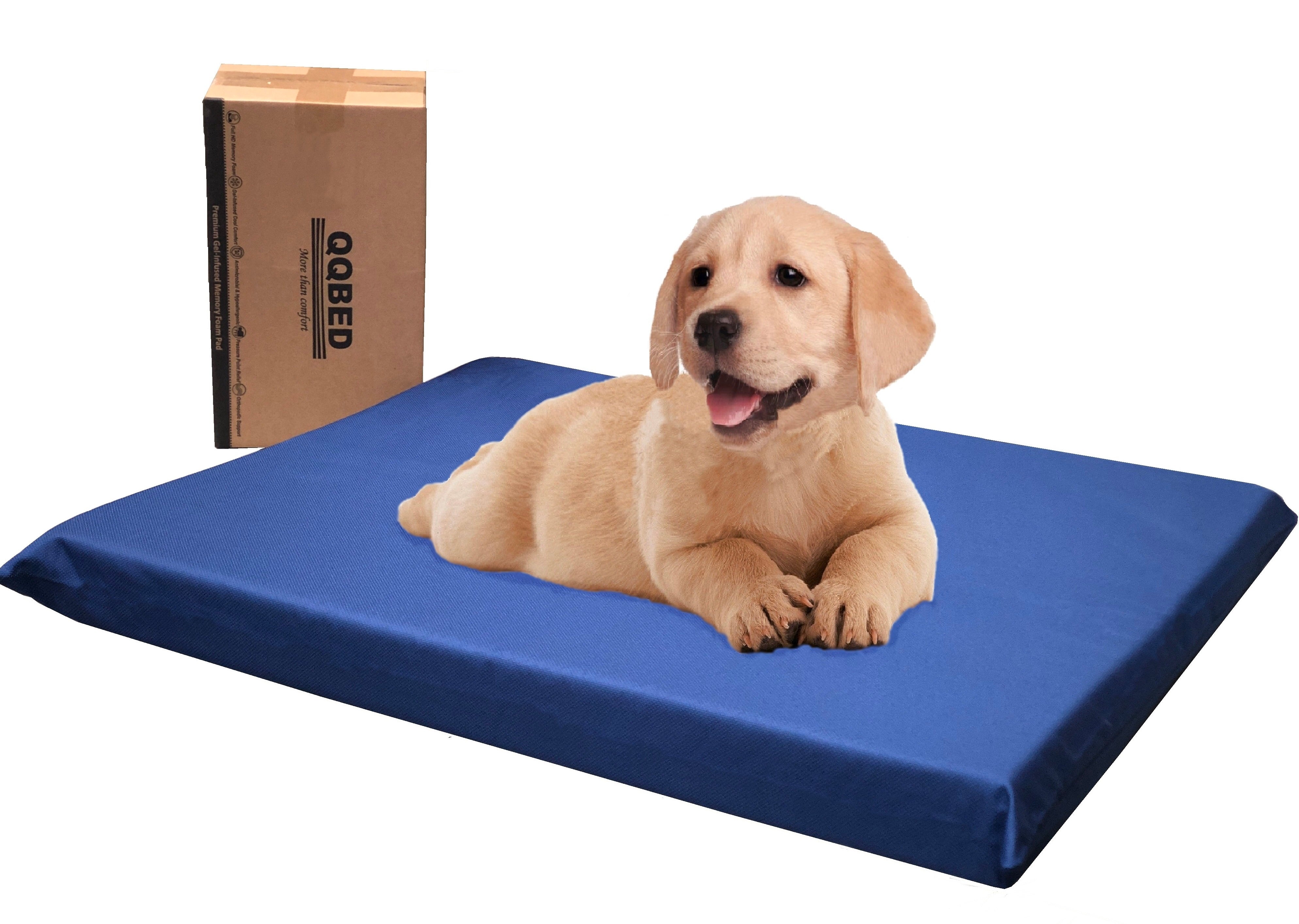 3" Waterproof Gel Memory Foam Pet Bed with Vibrant Color 2 Sizes in