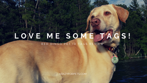 Love me some tags! Red Dingo pet ID tags review