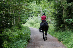 Horseback riding for children