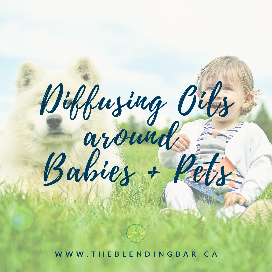 is diffusing oils safe for dogs