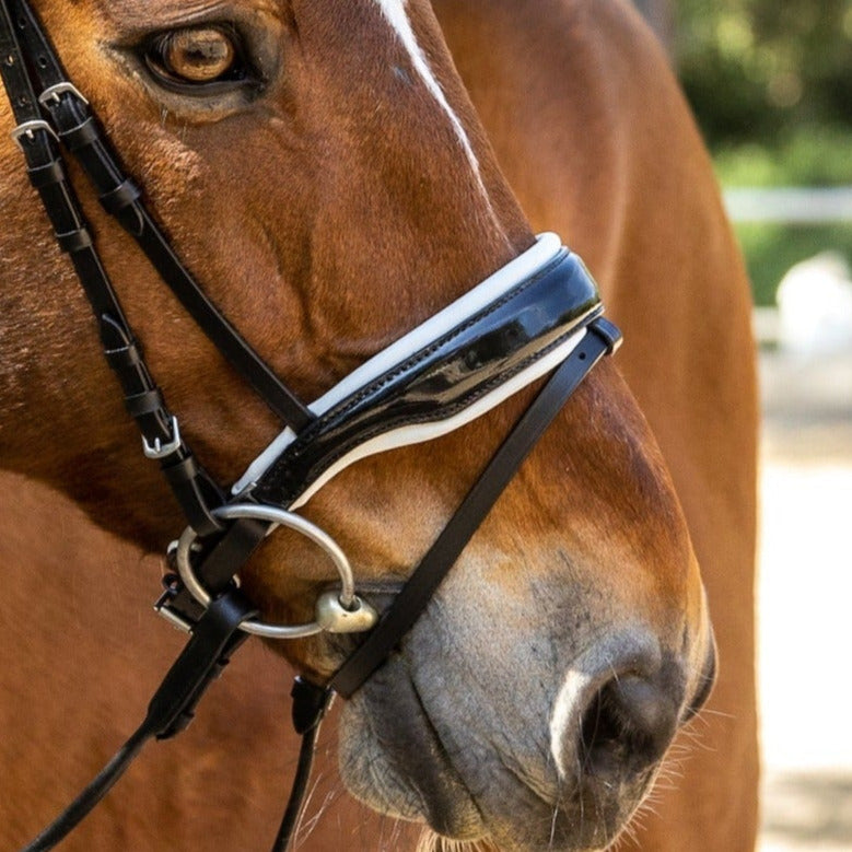 Halter Ego Copenhagen Snaffle – The Horse of Course