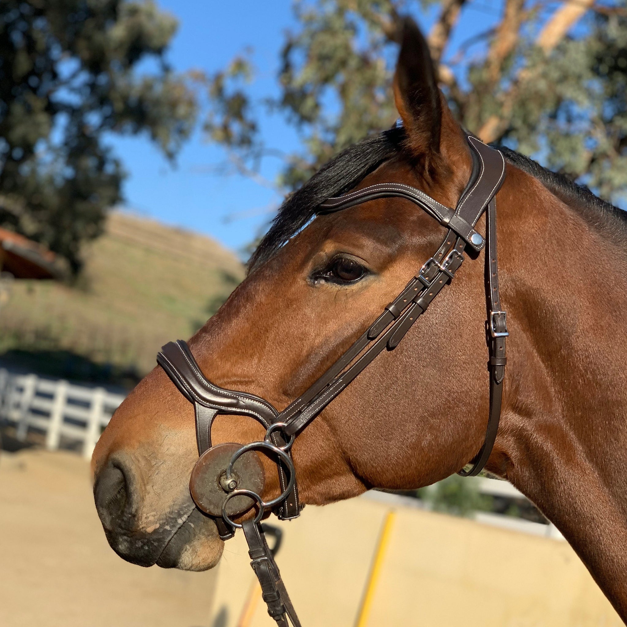 Remington - Brown Leather Anatomical Jumper Bridle | Halter Ego®