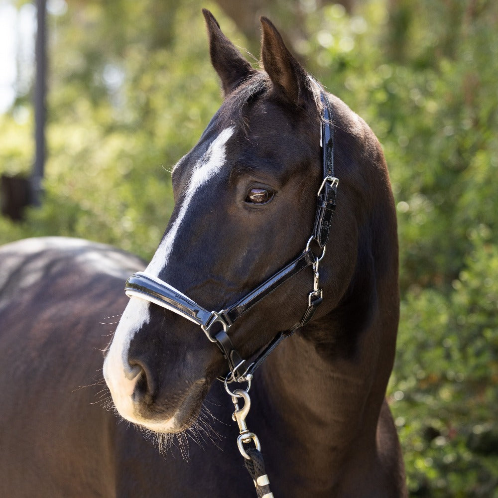 SD® STAR APPEAL LEATHER HALTER WITH CRYSTAL ROCKS