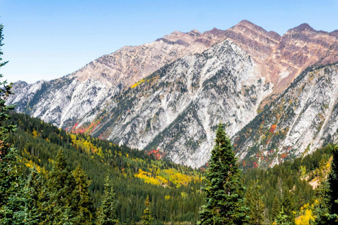 Wasatch Mountains with Green Trees