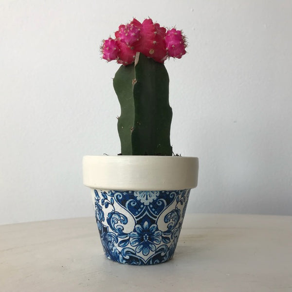 Blue and White Damask Cactus Mini Pot