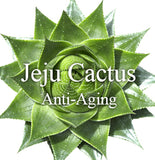 double-dare-age-freeze-gel-mask-ingredient-jeju-catus