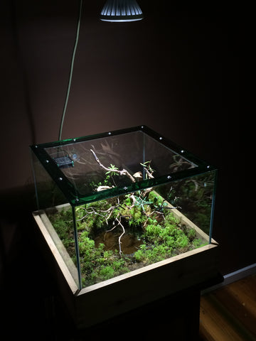 Custom, LED and Acrylic live sphagnum moss Aquariums 
