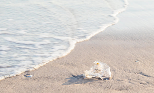 plastic bag on a beach