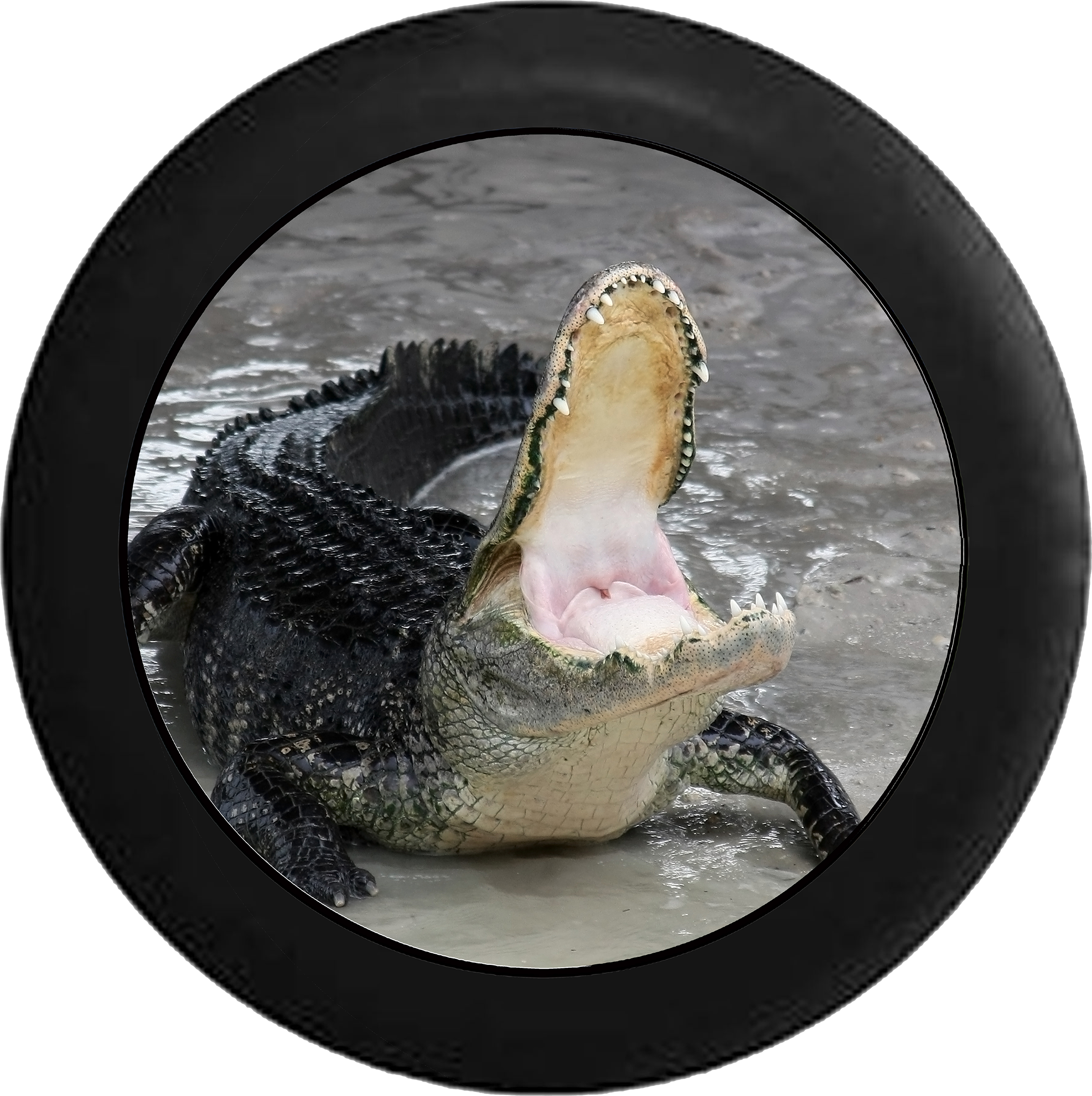Tire Cover PRO | Alligator Crocodile Mouth Open Feeding Time Jeep ...