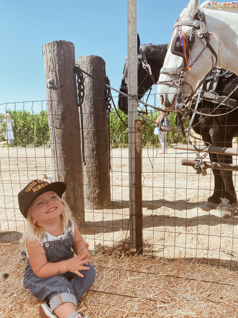 underwood family farms