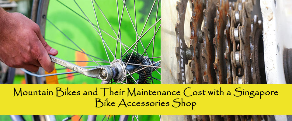 best bike accessories shop