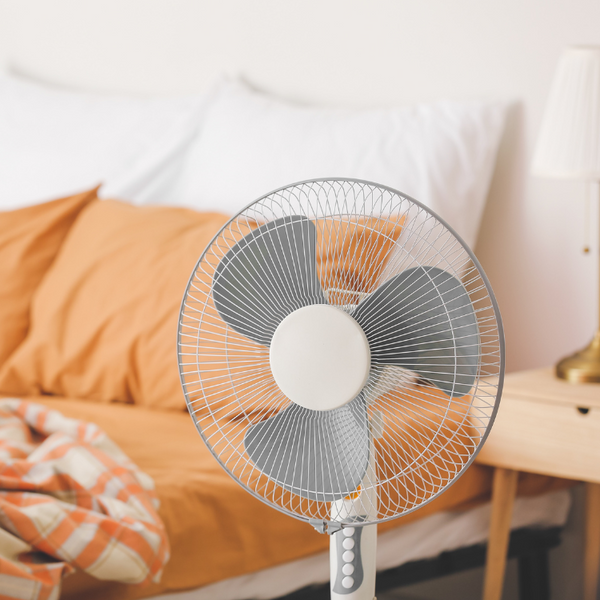 Fan in bedroom