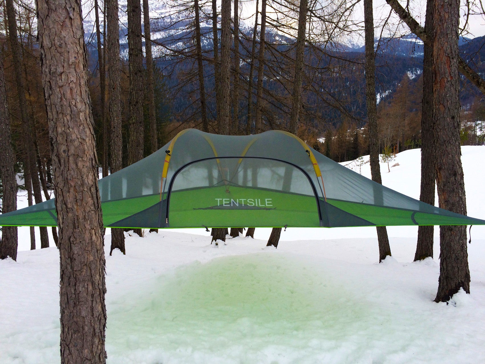 Tree Tent In The Winter