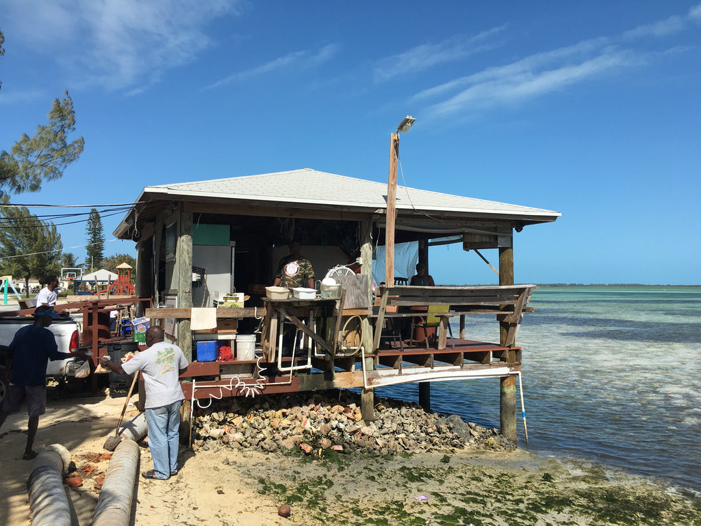 Bimini, Bahamas Day Trip for 1 Person – MiamiHeliTours