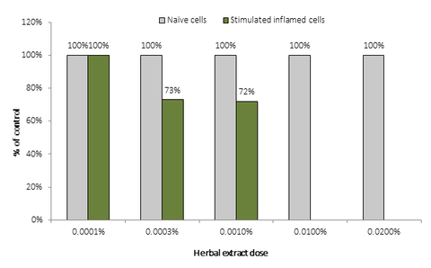 Figure 12. Effect of herbal extract on viability of human keratinocytes (MTT assay).