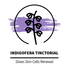 Indigofera_Tinctorial