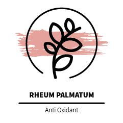 Rheum_palmatum