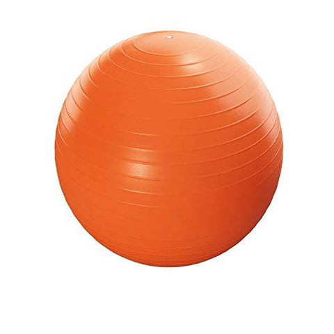 fitness ball large