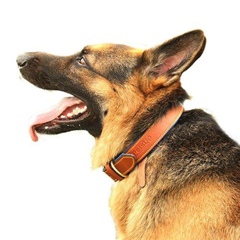 collar belt for dogs