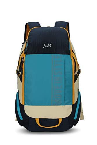 skybags laptop bags