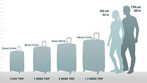 swiss gear luggage sizes