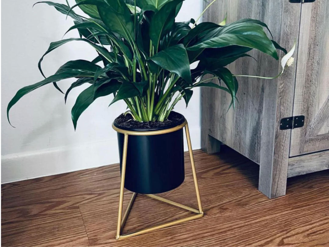 Metal Round Planter with Triangle Base