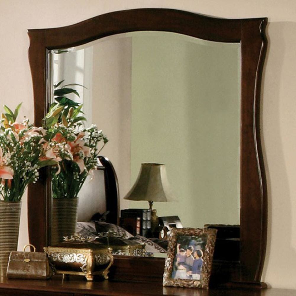Esperia Dark Walnut Transitional Style Mirror By Casagear Home