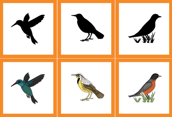 birds-preschool-pack-trillium-montessori