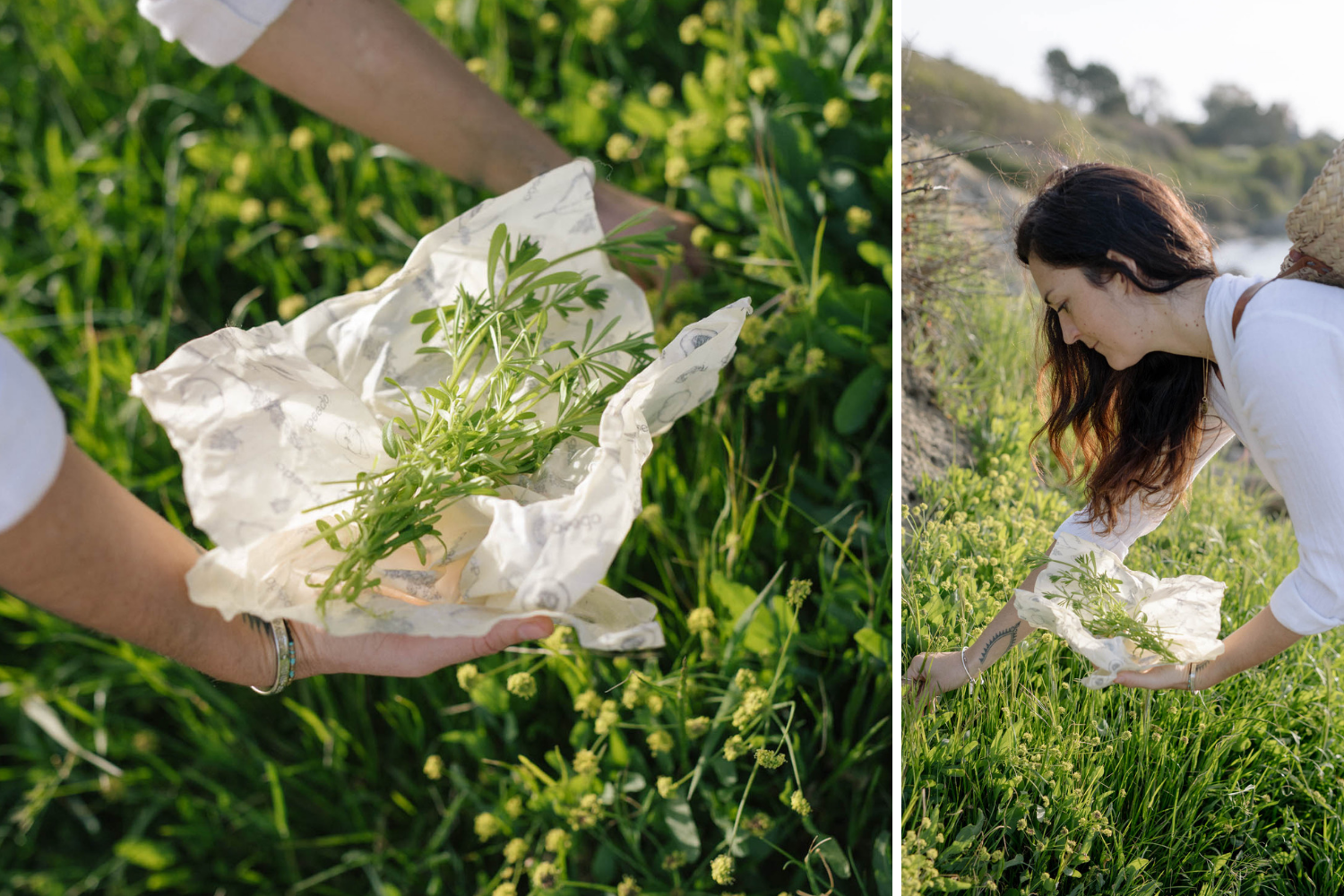 Best storage for foraged foods | put the power of food saving into your own hands with Abeego natural and plastic free food wrap