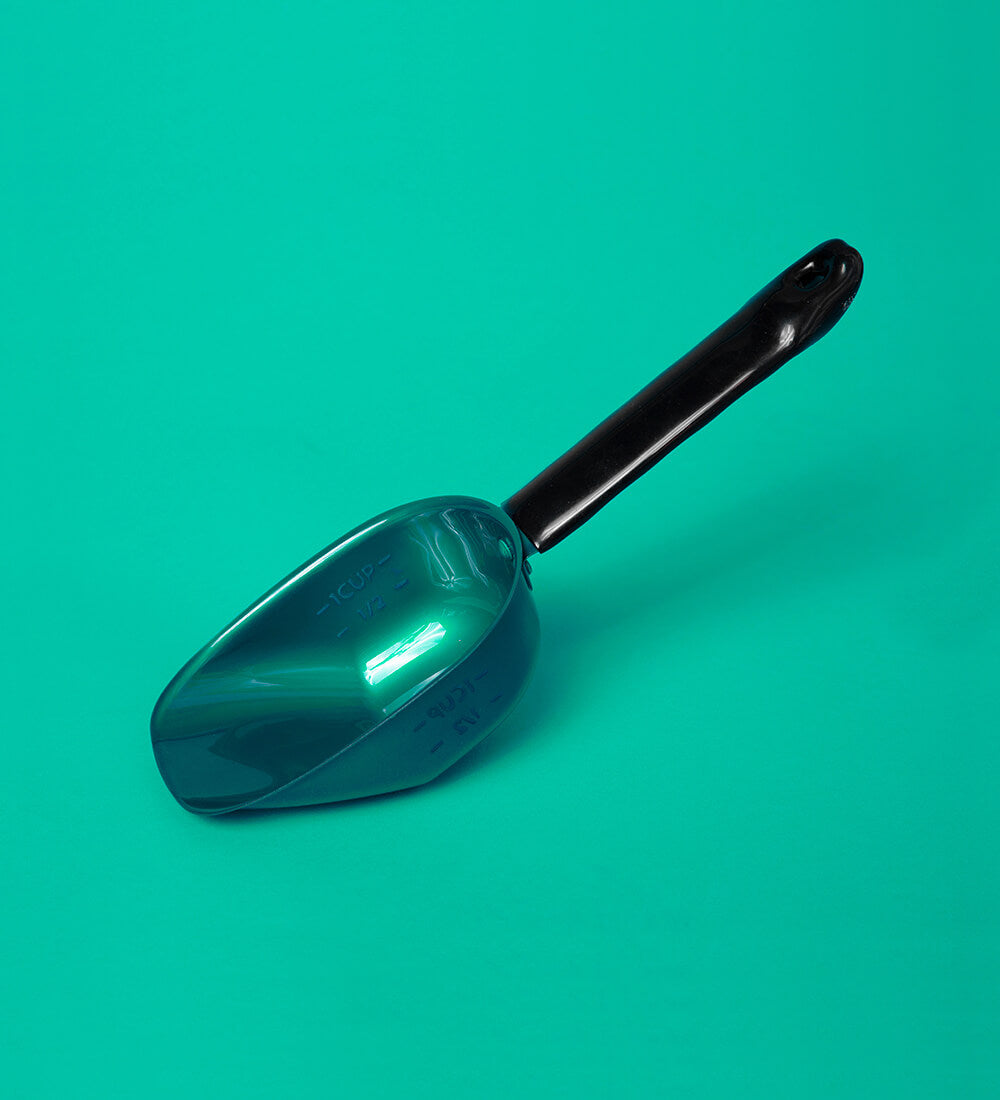 Caribbean Teal Food Scoop