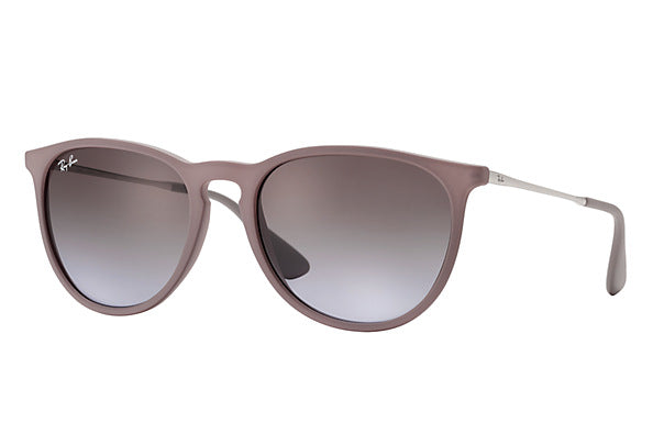 Ray-Ban Erika Classic Brown Silver 