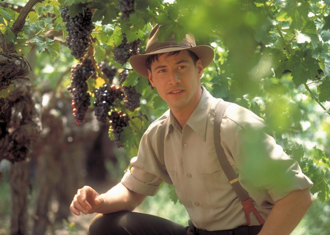 Keanu Reaves in vineyard