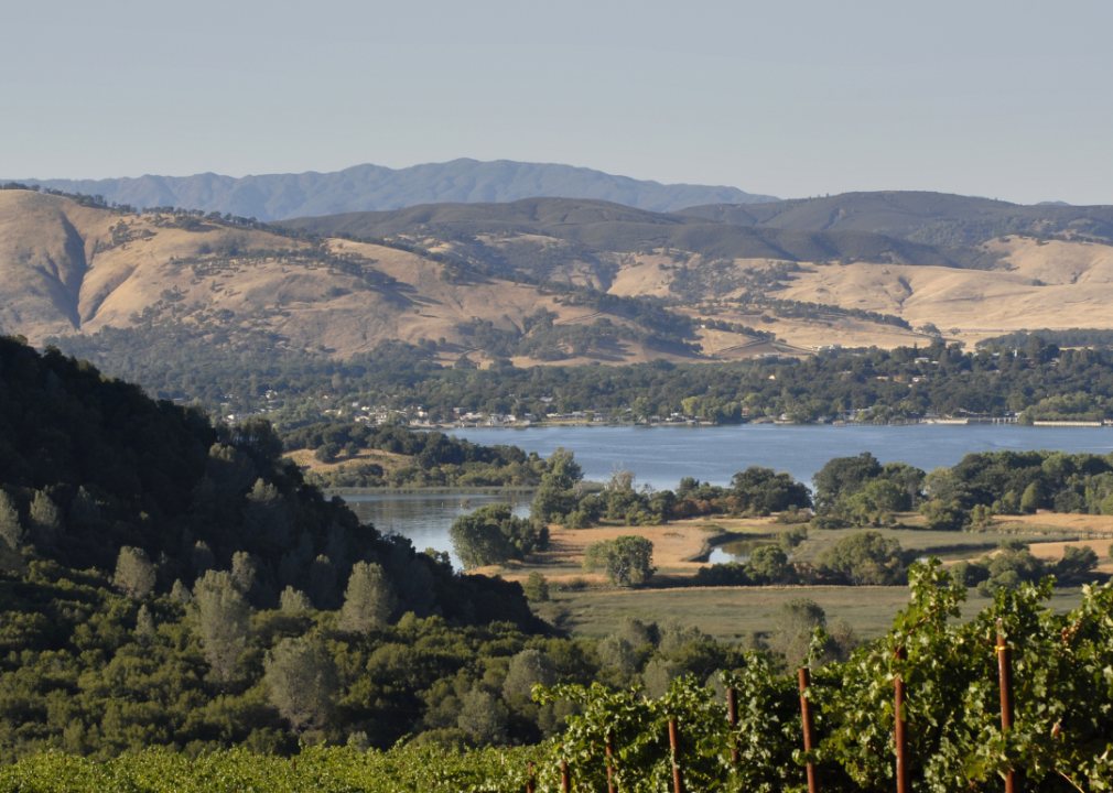 Lakeside vineyard