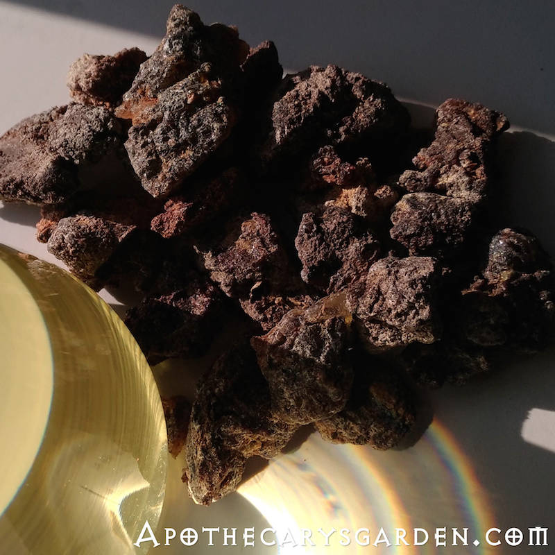 Ethiopian Myrrh resin – Kamala's Own Perfumery