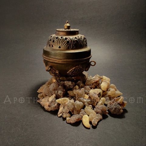 Frankincense Occulta-Somaliland