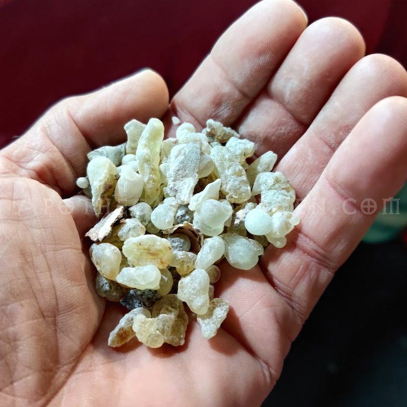 Royal Green Hojari Frankincense