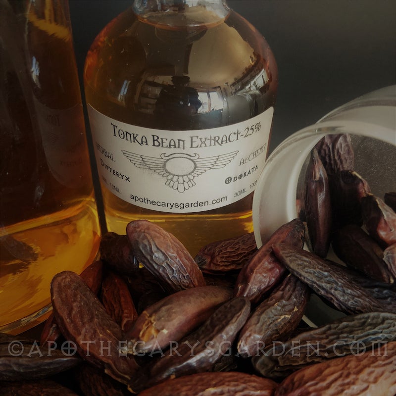 Organic Tonka Bean Essential Oil – Herbarium Officinale