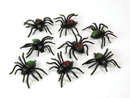 bag of plastic spiders