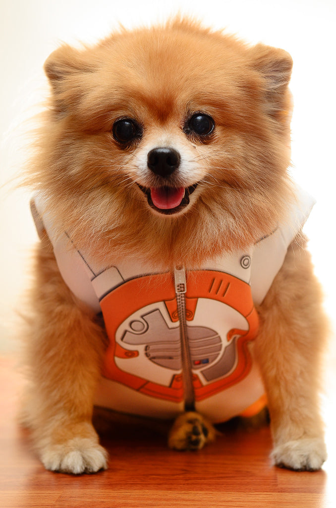 bb8 dog sweater